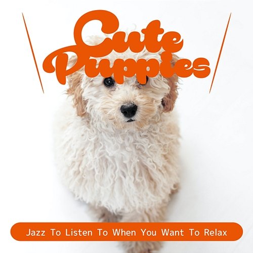 Jazz to Listen to When You Want to Relax Cute Puppies