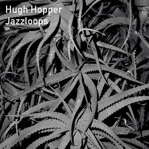 Jazzloops Hugh Hopper