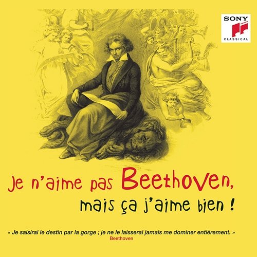 Je n'aime pas Beethoven, mais ça j'aime bien ! Various Artists