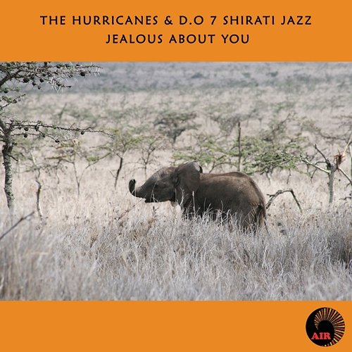 Jealous About You The Hurricanes, D.O Misiani & Shirati Jazz Band