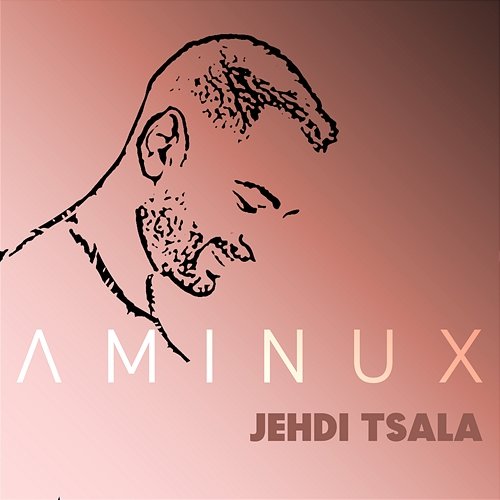 Jehdi Tsala Aminux