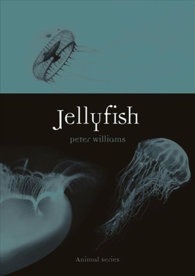 Jellyfish Peter Williams
