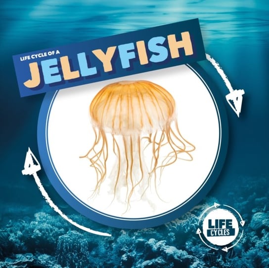 Jellyfish Kirsty Holmes