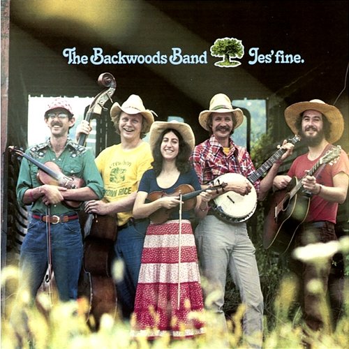 Jes' Fine The Backwoods Band