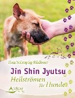 Jin Shin Jyutsu Stumpfig-Rudisser Tina