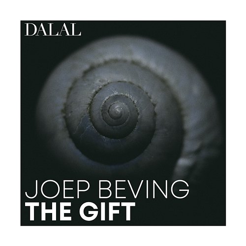 Joep Beving: The Gift Dalal