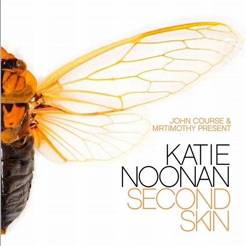 John Course & MrTimothy Present Second Skin, The Katie Noonan Remix Album Katie Noonan