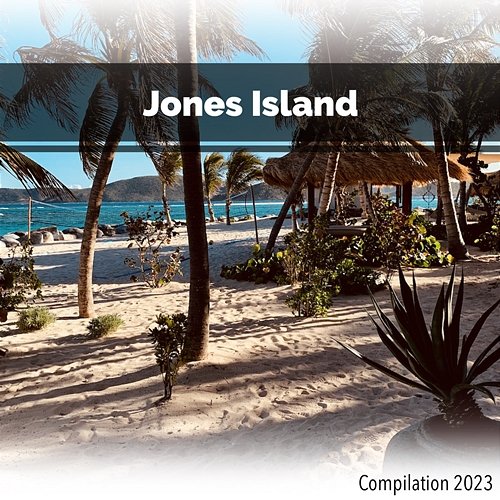 Jones Island Compilation 2023 John Toso, Mauro Rawn, Benny Montaquila Dj