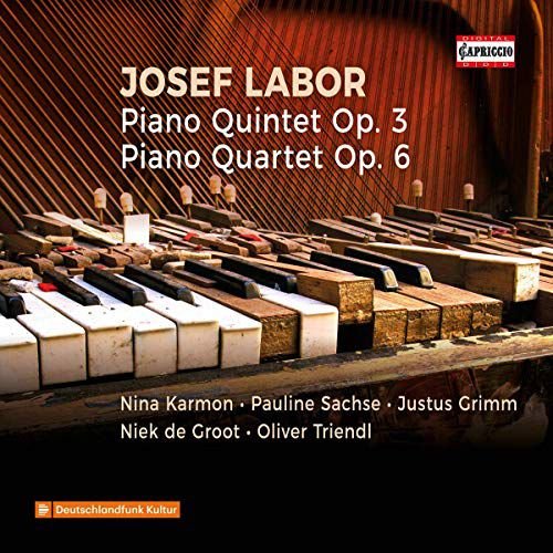 Josef Labor Piano Quintet Op. 3 / Piano Quartet Op. 6 Various Artists