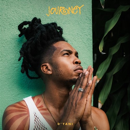 Journey D'yani
