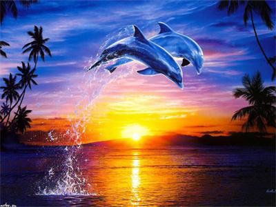 JU-PITER, Diamentowa mozaika Delfiny w blasku zachodzącego słońca 60244 JU-PITER