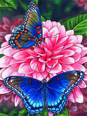 JU-PITER, Diamentowa mozaika Kwiat i motyle 60243 JU-PITER