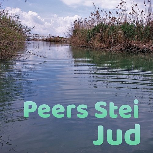 Jud Peers Stein