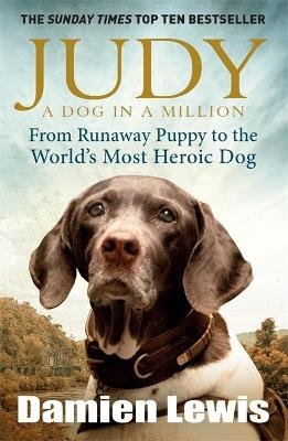 Judy: A Dog in a Million Lewis Damien