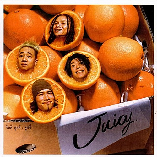 Juicy Silly Fools