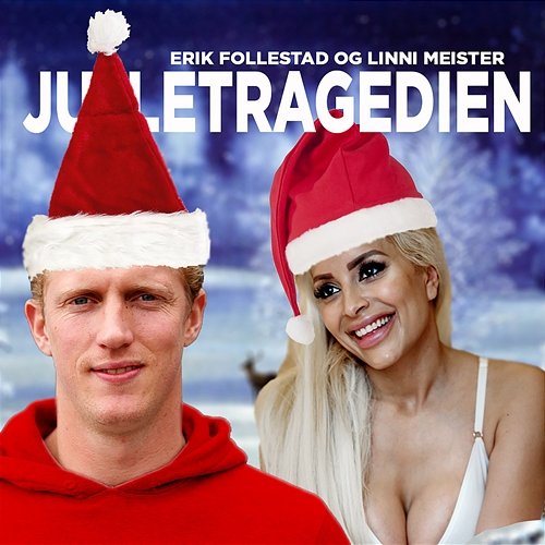 Juletragedien Erik Follestad, Linni Meister