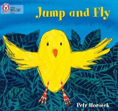 Jump and Fly: Band 01a/Pink a Horacek Petr