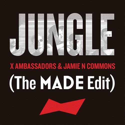 Jungle X Ambassadors, Jamie N Commons
