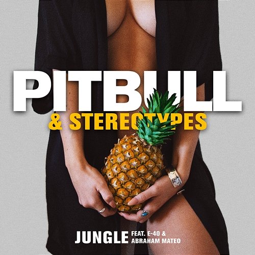 Jungle Pitbull & Stereotypes feat. E-40 & Abraham Mateo