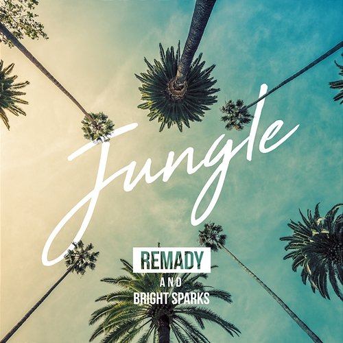 Jungle Remady, Bright Sparks