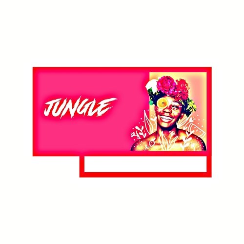 Jungle Dj Cassell