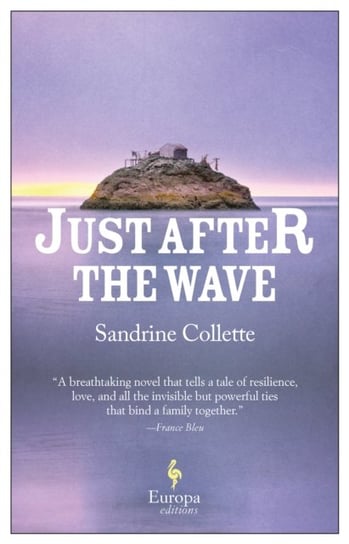 Just After the Wave Sandrine Collette