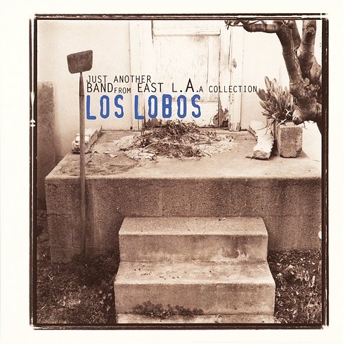Tears of God Los Lobos