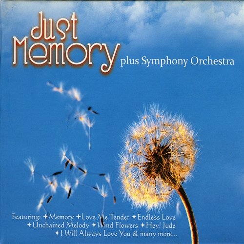 Just Memory Plus Symphone Orchestra