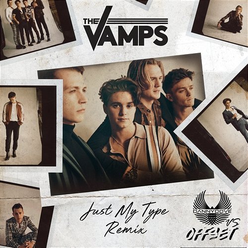 Just My Type The Vamps