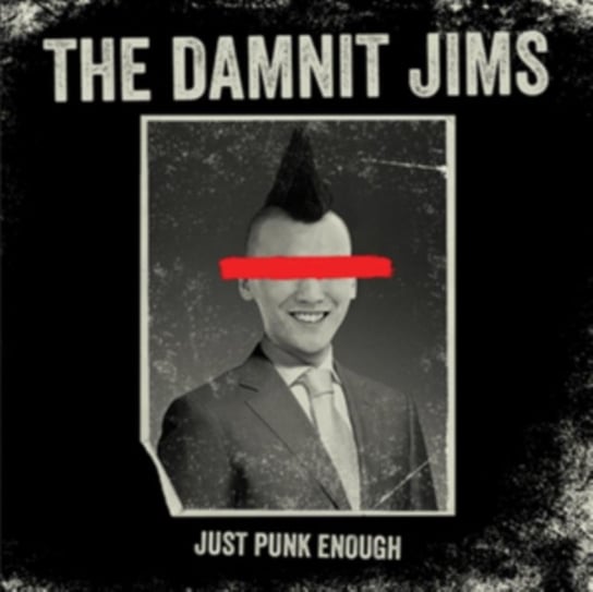 Just Punk Enough The Damnit Jims