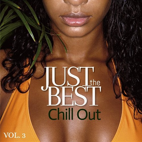 Just the Best Chill Out Vol. 3 Various Artists