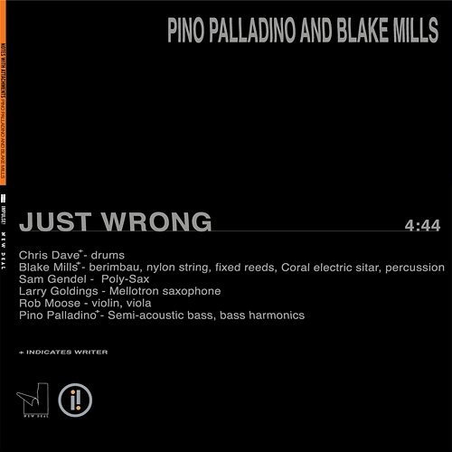 Just Wrong Pino Palladino, Blake Mills