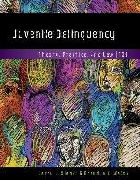 Juvenile Delinquency: Theory, Practice, and Law Siegel Larry J., Welsh Brandon C.