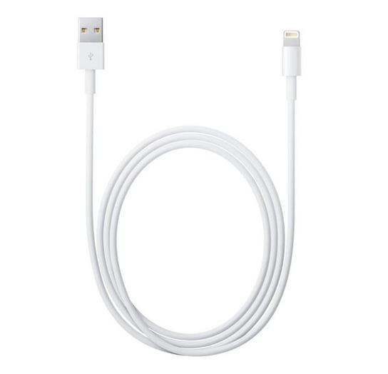 Kabel 1m Apple MD818ZM/A Lightning to USB Cable Apple