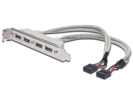 Kabel na śledziu USB 2.0 2xIDC DIGITUS, 0.25 m Digitus