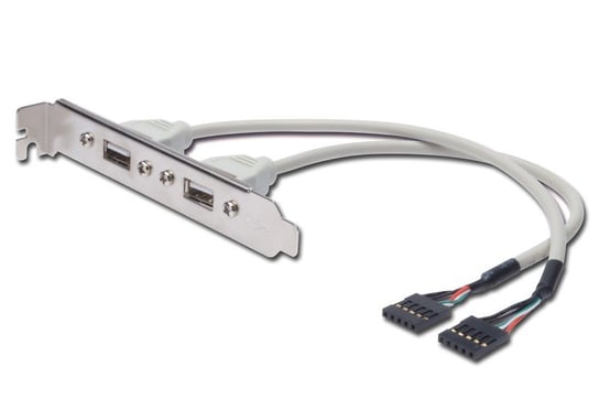 Kabel na śledziu USB 2.0 HighSpeed Typ 2xIDC (5pin)/2xUSB A M/Ż 0,25m Szary Inna marka