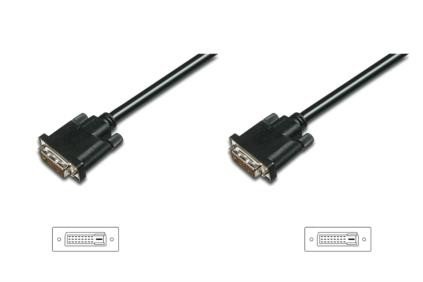 Kabel połączeniowy DVI-D ASSMANN, 3 m Assmann