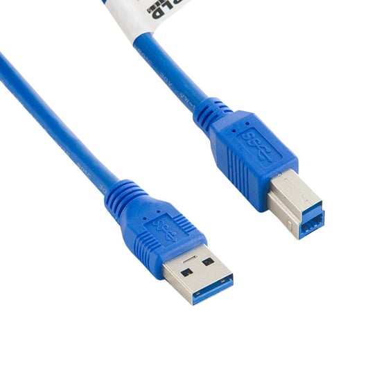 Kabel USB AM - USB BM 4WORLD 08947, 1.8 m 4world