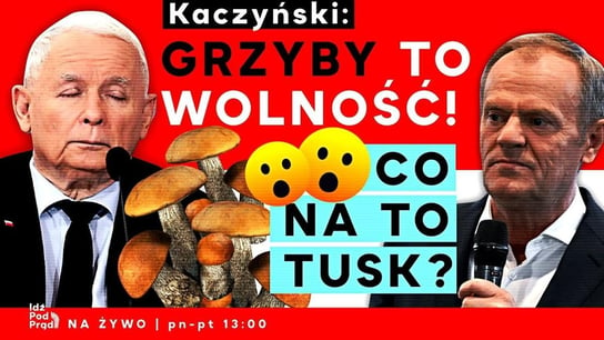Kaczyński: Grzyby to wolność! Co na to Tusk? - Idź Pod Prąd Na Żywo - podcast Opracowanie zbiorowe