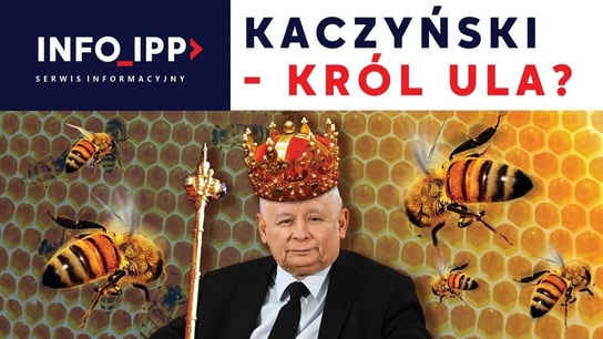 Kaczyński - król ula? | Serwis info IPP 2023.05.15 - Idź Pod Prąd Nowości - podcast Opracowanie zbiorowe
