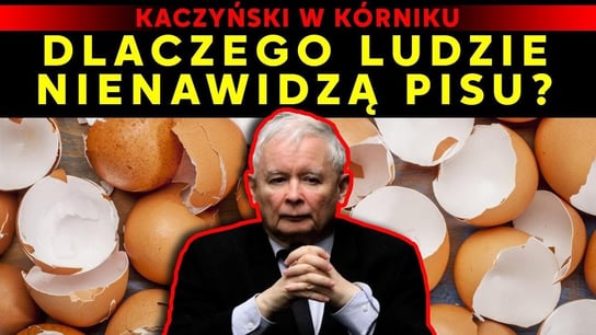 Kaczyński w Kórniku. Dlaczego ludzie nienawidzą PiSu? - Idź Pod Prąd Na Żywo - podcast Opracowanie zbiorowe