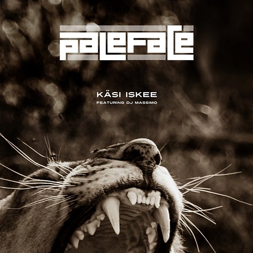 Käsi iskee Paleface feat. DJ Massimo