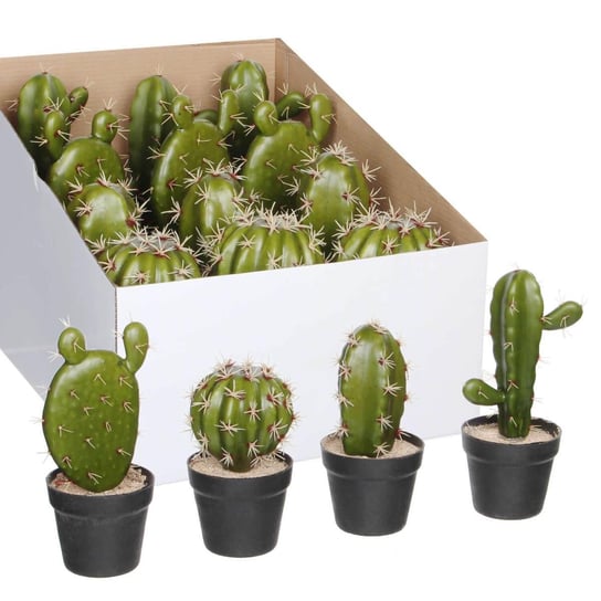 Kaktus w doniczce 4 wzory Tajemniczy ogród