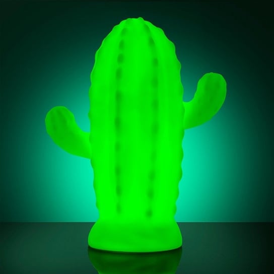 Kaktus zmieniający kolor lampka Tobar