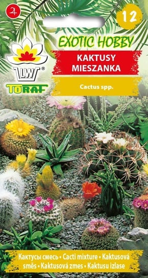 Kaktusy Mix Odmian Cactus Sp. Toraf
