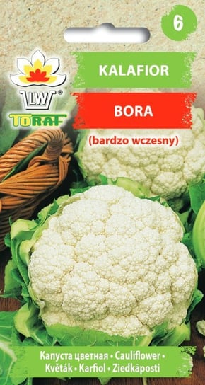 Kalafior BORA (b. wczesny)
Brassica oleracea L. var. botrytis Toraf