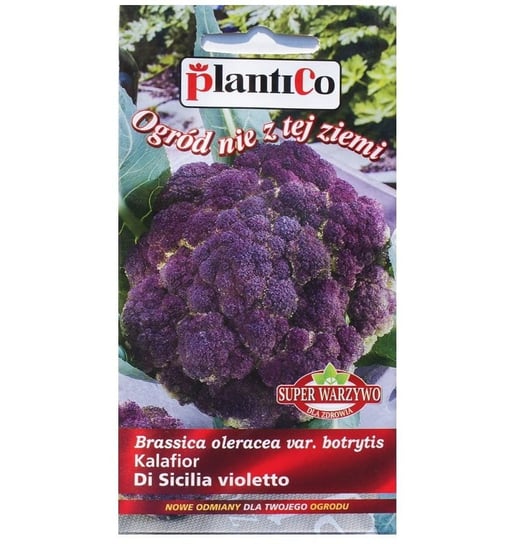 Kalafior fioletowy DI SICILIA VIOLETTO nasiona 0,2g Inna marka