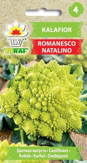 Kalafior ROMANESCO NATALINO (piramidki)
Brassica oleracea L. var. botrytis Toraf