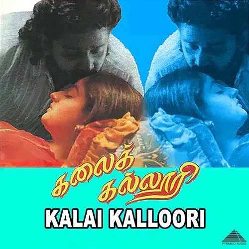 Kalai Kalloori (Original Motion Picture Soundtrack) Rehan & S.A. Rajkumar