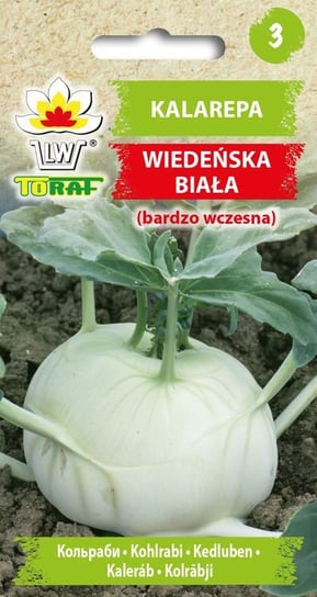 Kalarepa WIEDEŃSKA BIAŁA (b. wczesna)
Brassica oleracea L. var. gongylodes Toraf